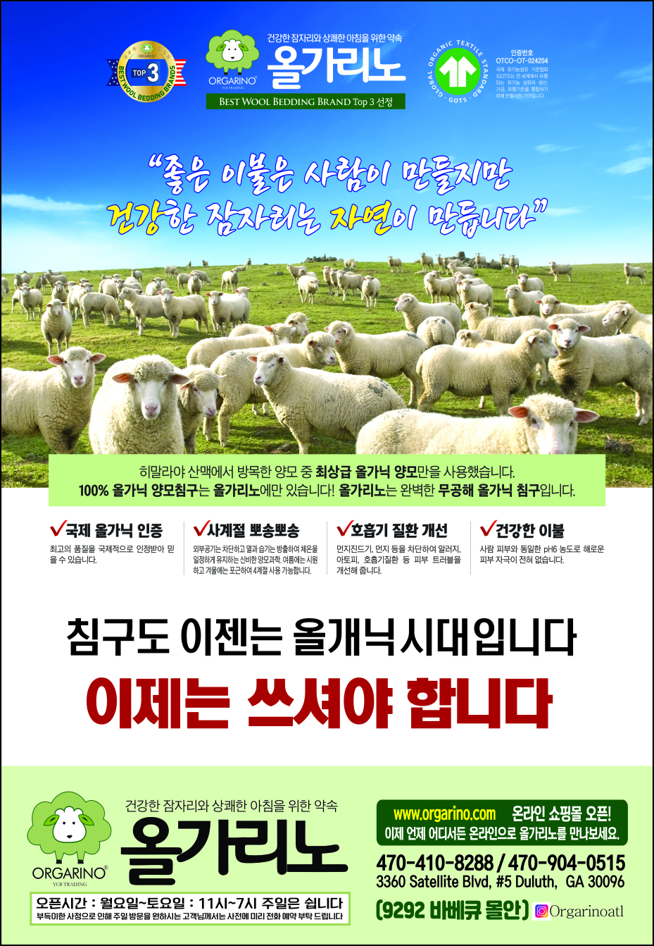 올가리노
