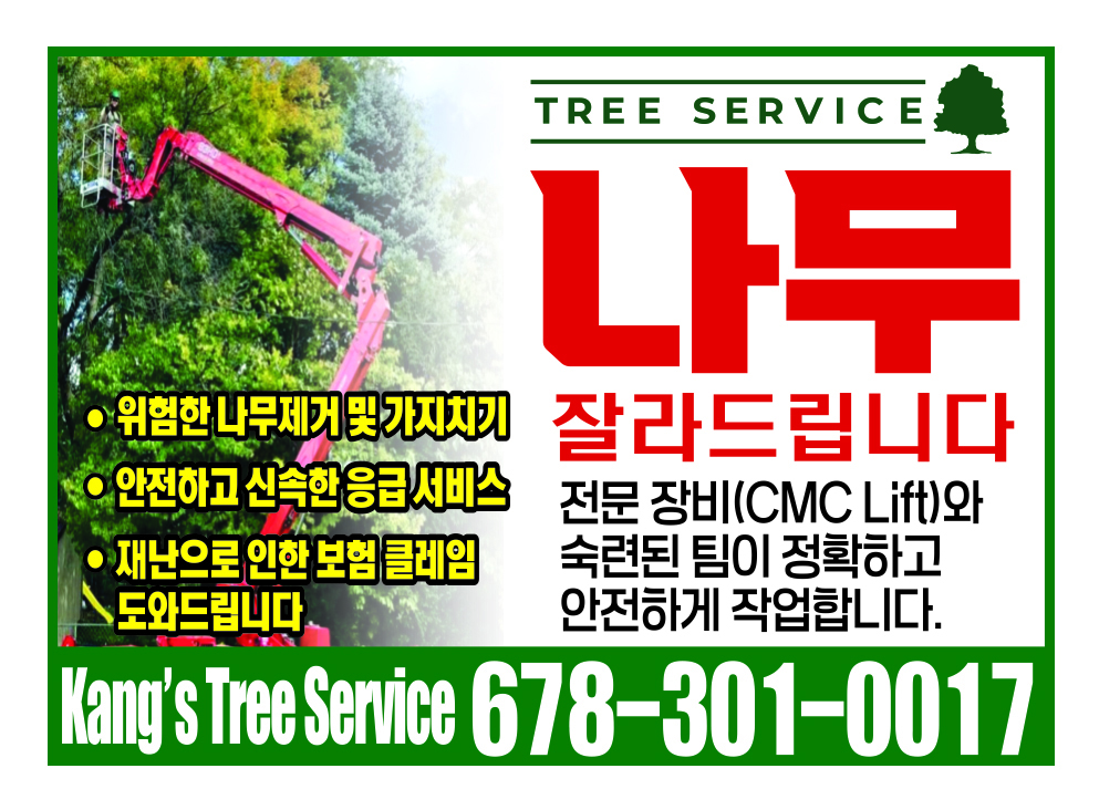 강스 트리 서비스