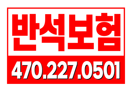 반석 보험